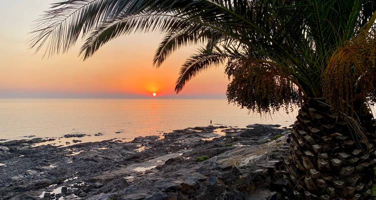 Palmen-Silhouetten säumen eine felsige Küstenlinie bei Sonnenuntergang, während die Sonne über dem ruhigen Meer versinkt, eine einsame Gestalt angelt auf den Felsen.