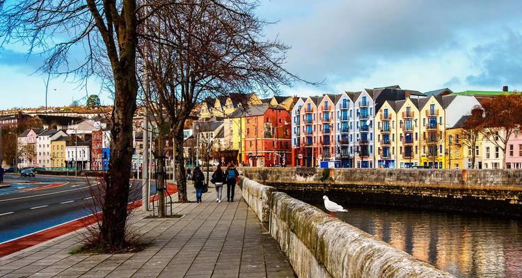 Maisons colorées au bord de la rivière et arbres dépouillés le long d'une promenade urbaine à Cork.