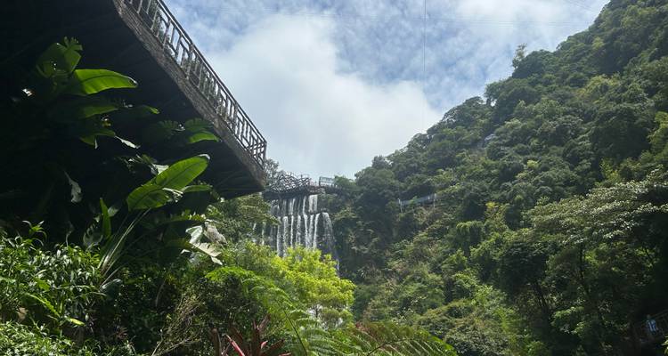 Dichte tropische planten omlijsten een houten uitkijkdek en verre glazen brug tegen een heldere hemel.