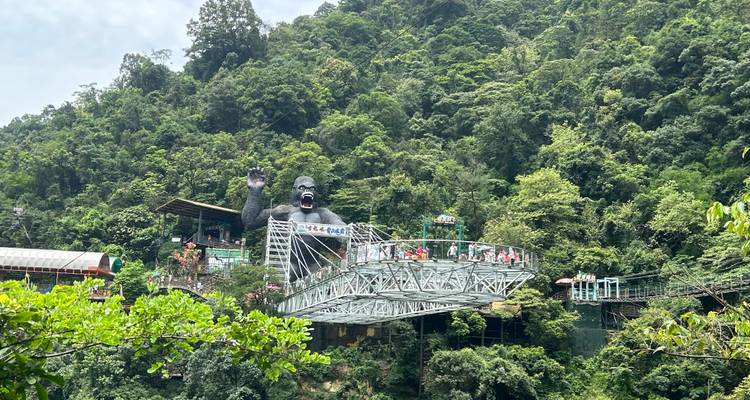 Een reusachtig gorillastandbeeld bewaakt een stalen glazen loopbrug vol bezoekers boven de boomtoppen.