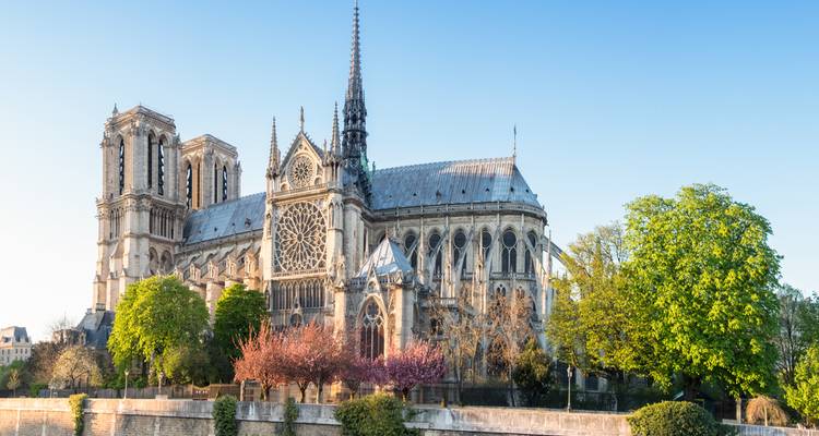 La façade emblématique de la cathédrale Notre-Dame bordée d'arbres en fleurs le long de la Seine.