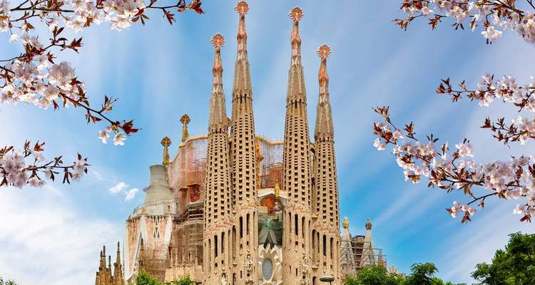 Les tours élancées de la Sagrada Família encadrées par les fleurs printanières sous un ciel bleu éclatant.