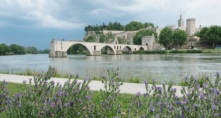 Pont historique Saint-Bénézet enjambant le Rhône avec le complexe palatial d'Avignon au-delà