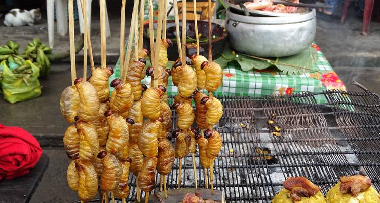 Local Amazon market snack of grilled palm weevil larvae skewers cooking over charcoal.