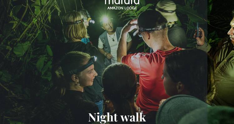 Night jungle walk promotional photo with overlaid lodge branding text.