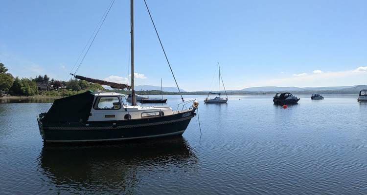 Pequeños veleros y cruceros descansan en un lago tranquilo bajo un cielo azul brillante.