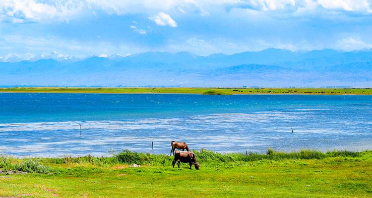 Wide blue alpine lake with two grazing horses on lush grass and distant snow mountains.