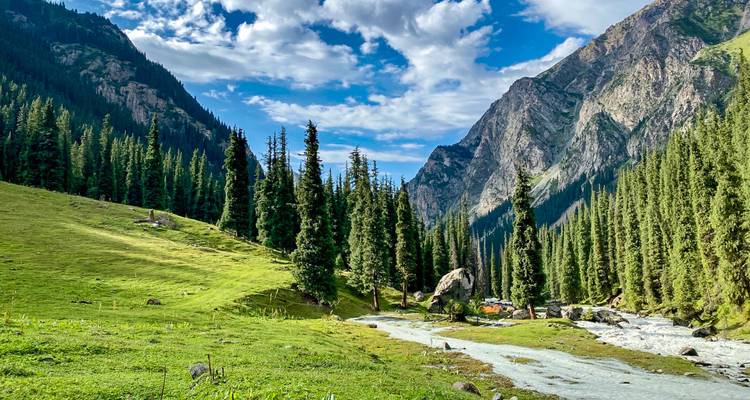 Üppiges Alpental mit klarem Bach, grünen Wiesen und dramatischen Felsgipfeln unter blauem Himmel