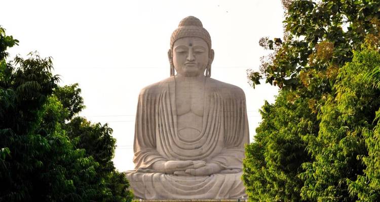 Estatua masiva de Buda sentado enmarcada por árboles verdes bajo cielo brumoso.