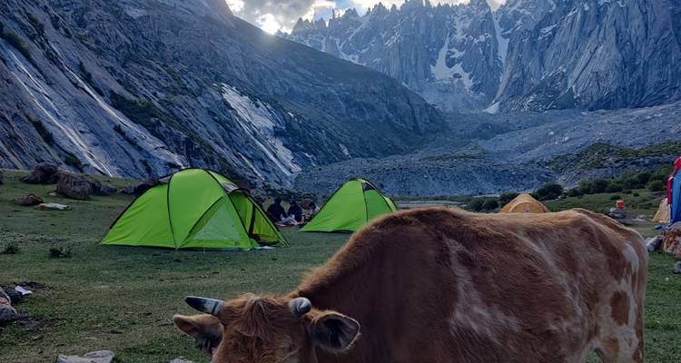 Des tentes de camping vertes sur une prairie herbeuse sous des pics déchiquetés spectaculaires ; une vache broute au premier plan.