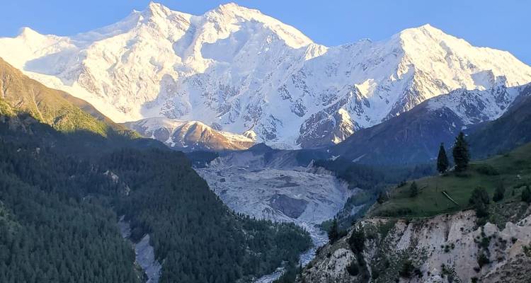 Le Nanga Parbat couvert de neige s'élève au-dessus d'une vallée luxuriante de conifères verts sous un ciel bleu dégagé.