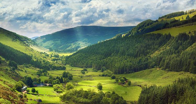 Vallée verdoyante et ensoleillée avec des forêts denses et des champs en damier sous un ciel partiellement nuageux