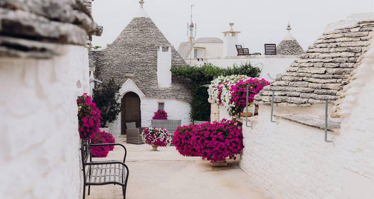 Encantador callejón de casas trulli encaladas adornadas con buganvillas rosa brillante en Alberobello.