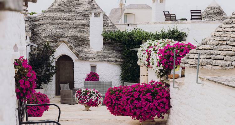 Malerische Gasse mit Trullo-Häusern, geschmückt mit herabfallenden rosa Blumen in Alberobello