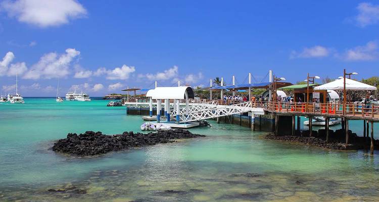 Muelle y embarcadero colorido con botes amarrados en las aguas turquesas cristalinas de Puerto Ayora.