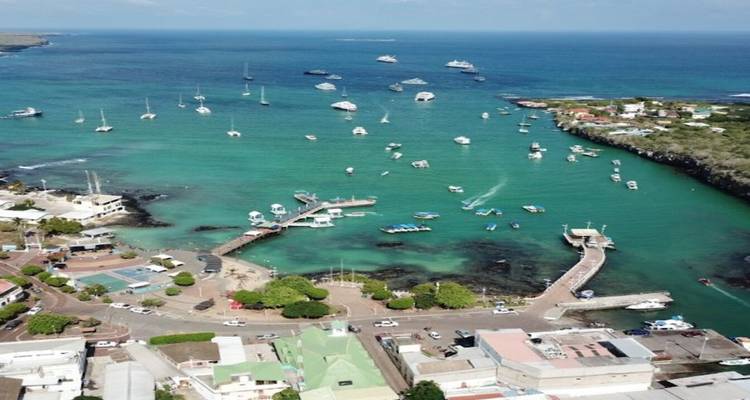Vista aérea del puerto de Puerto Ayora lleno de yates y embarcaciones turísticas sobre agua esmeralda.