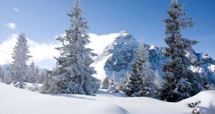 Schneebeladene Tannen rahmen einen zerklüfteten Alpengipfel ein, der unter einem klaren blauen Winterhimmel glänzt.