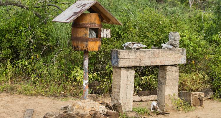 Rustic wooden barrel postbox and stone platform surrounded by lush green vegetation on Floreana Island.