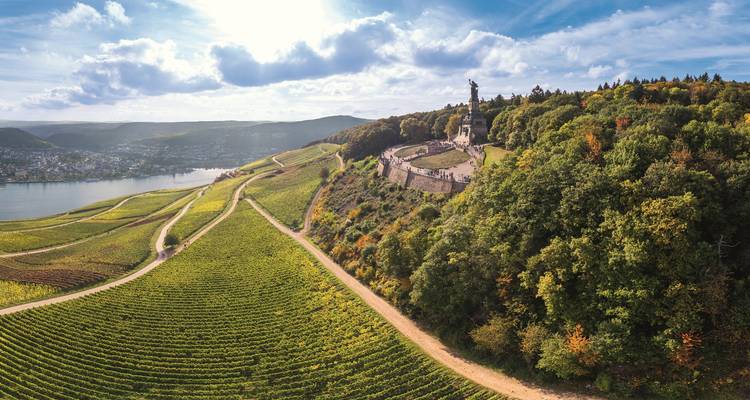 Panoramablick auf das Niederwalddenkmal über sanften Weinbergen und dem Rhein