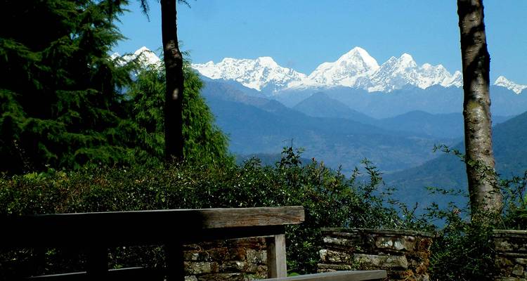 Los picos del Himalaya cubiertos de nieve se alzan más allá de las colinas boscosas, enmarcados por árboles y un banco rústico en primer plano.