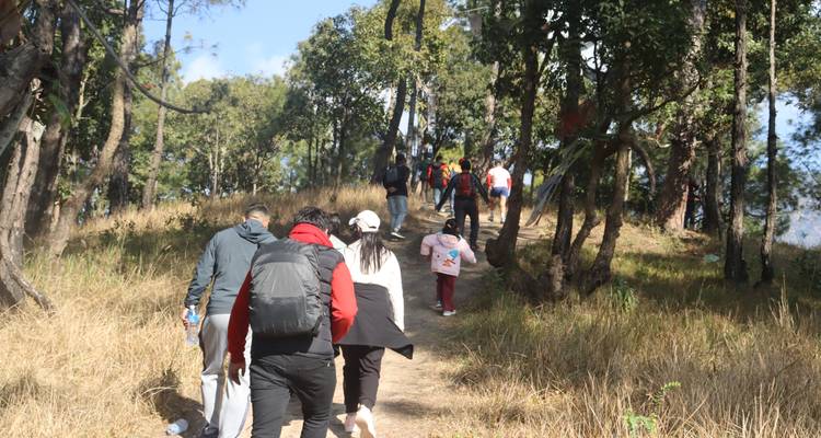 Una fila de excursionistas avanza por un sendero boscoso iluminado por el sol, bordeado por hierba seca y árboles.