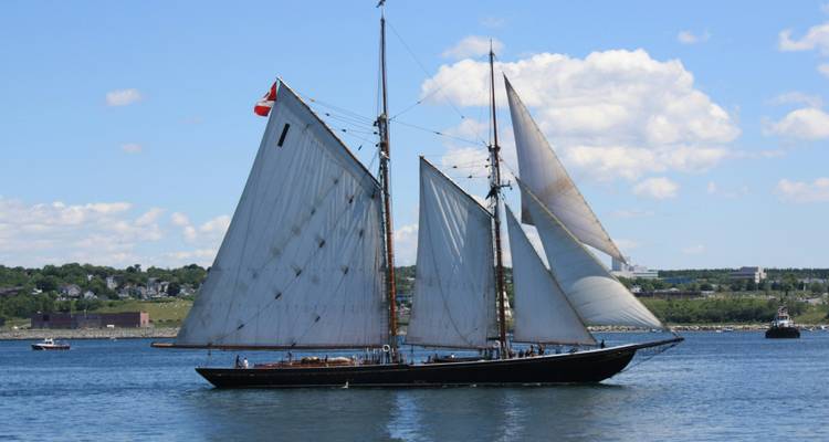 Clásico goleta de barco alto con velas desplegadas deslizándose por el puerto en un día soleado.