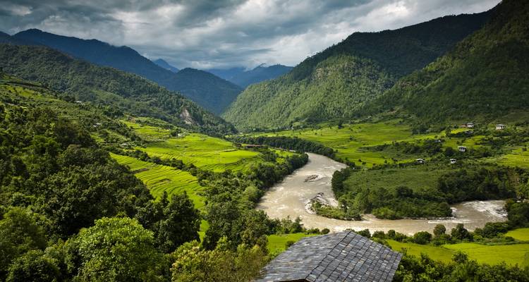 Valle fluvial verde y exuberante entre colinas brumosas del Himalaya bajo un cielo encapotado