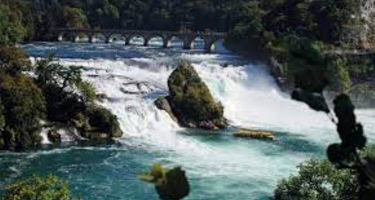 Powerful Rhine Falls cascades beside a historic arched bridge surrounded by leafy greenery.