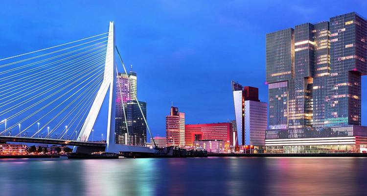 Horizon de Rotterdam avec le pont Érasme et les tours modernes illuminées à l'heure bleue