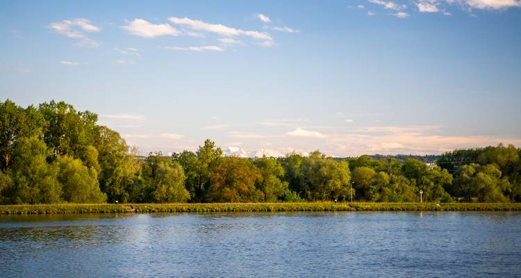 Danube paisible bordé d'arbres verts sous un ciel bleu dégagé