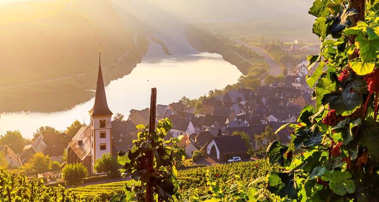 Pentes de vignoble baignées de soleil descendant vers un méandre de rivière avec clocher d'église dans la vallée de la Moselle