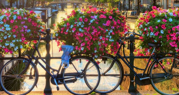 Fleurs colorées et vélos sur un pont d'Amsterdam surplombant un canal lumineux du soir