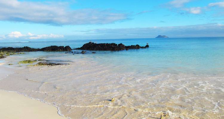 Pristine white-sand beach with clear turquoise water, black lava rocks and distant islet under a bright sky.