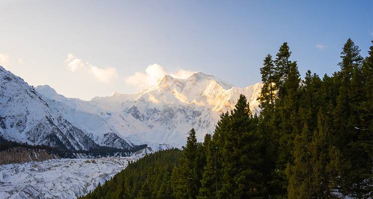 Le sommet neigeux baigné de soleil brille au-dessus des sombres forêts de conifères dans la lumière vive du début de soirée.