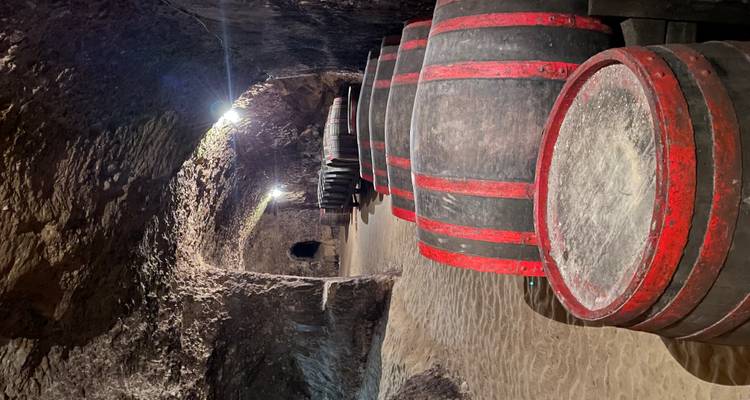 Fila de grandes barriles de vino alineados en una bodega de suelo arenoso excavada en la roca.