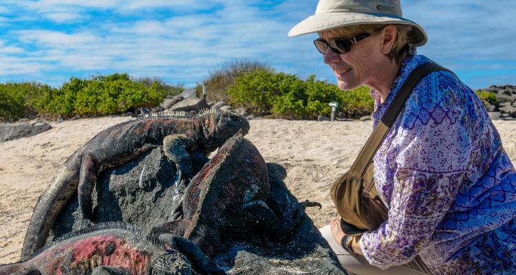 Female tourist observing a group of marine iguanas on a sunny beach.