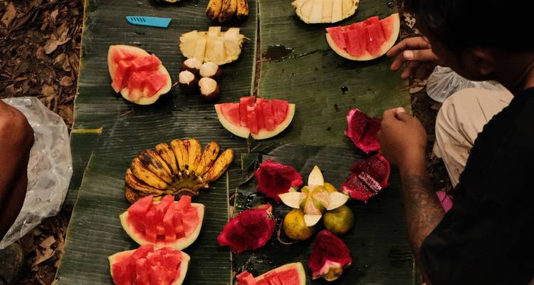 Assortiment de fruits tropicaux tranchés disposés sur des feuilles de bananier lors d'un pique-nique dans la jungle.