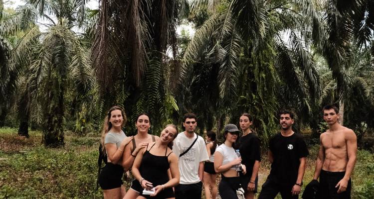 Groupe de randonneurs se tient parmi de grands palmiers à huile sur un sentier de jungle.