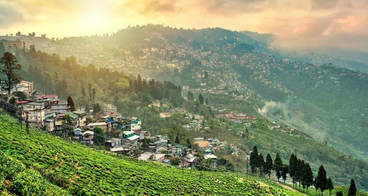 Golden sunrise over hillside town and rolling tea gardens cascading down a verdant valley.