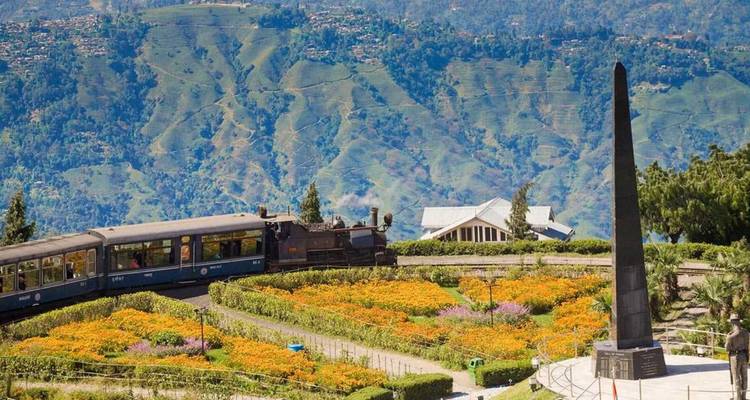 Historic blue steam train curves around a flower-filled track with green mountains behind.