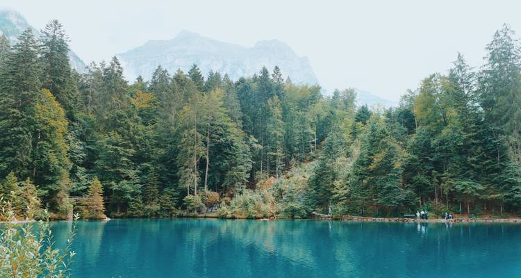 Tranquil alpine lake surrounded by dense forest with hazy mountains looming in the background.