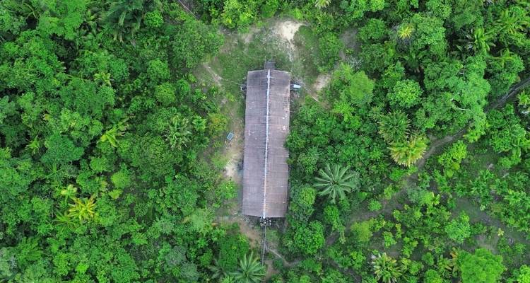 Vue aérienne d'un toit de maison longue isolé caché au milieu d'une forêt tropicale dense.