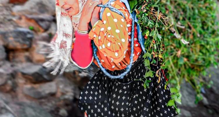 Berberfrau in buntem Kleid trägt ein Bündel frisches Grünzeug einen steinigen Pfad entlang.