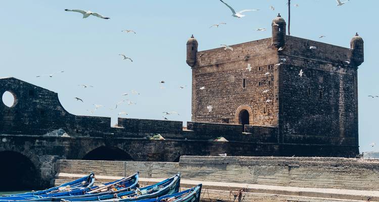 Stenen vestingwerken van een kustfort rijzen op boven rijen blauwe boten en zwevende zeevogels.
