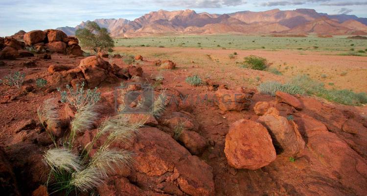 Rode rotswoestijnvlakte met bergen op de achtergrond; zichtbaar stockwatermerk over het midden.