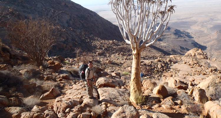Wandelaar pauzeert naast een witstammige kokerboom op rotsachtige Brandberg-hellingen met woestijnuitgestrektheid eronder.