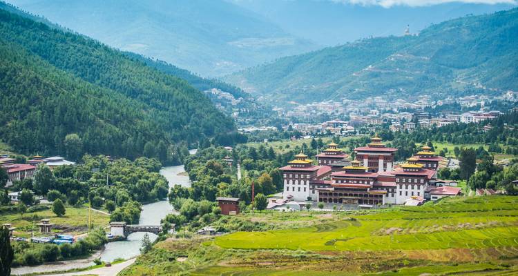Punakha Dzong niché entre les rivières au milieu de rizières vertes et de collines boisées avec des vues sur la ville au loin.