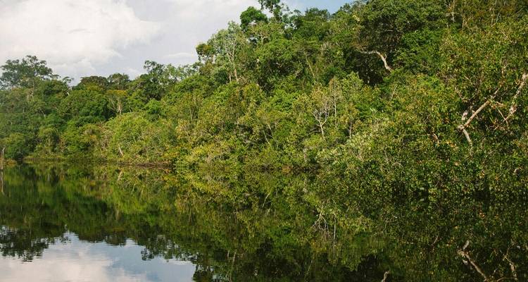 Densa selva amazónica reflejada en las aguas tranquilas del río bajo un cielo parcialmente nublado.