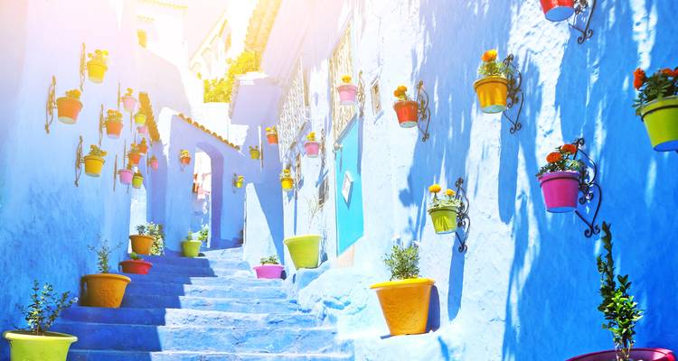 Escalier bleu ensoleillé décoré de pots de fleurs colorés à Chefchaouen.
