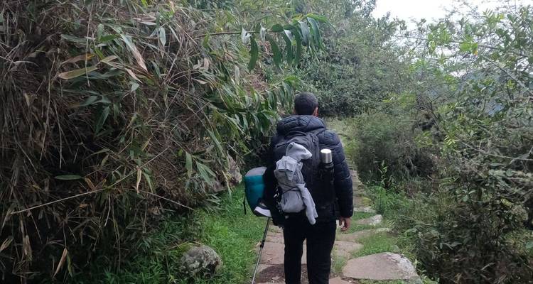Vue arrière d'un randonneur avec un grand sac à dos marchant le long d'un sentier de jungle luxuriante sur le Chemin de l'Inca.
